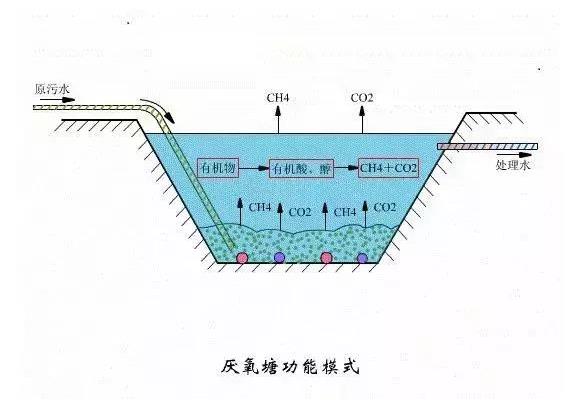 环保小知识：常见污水处理工艺原理及优点说明，环保人应该了解